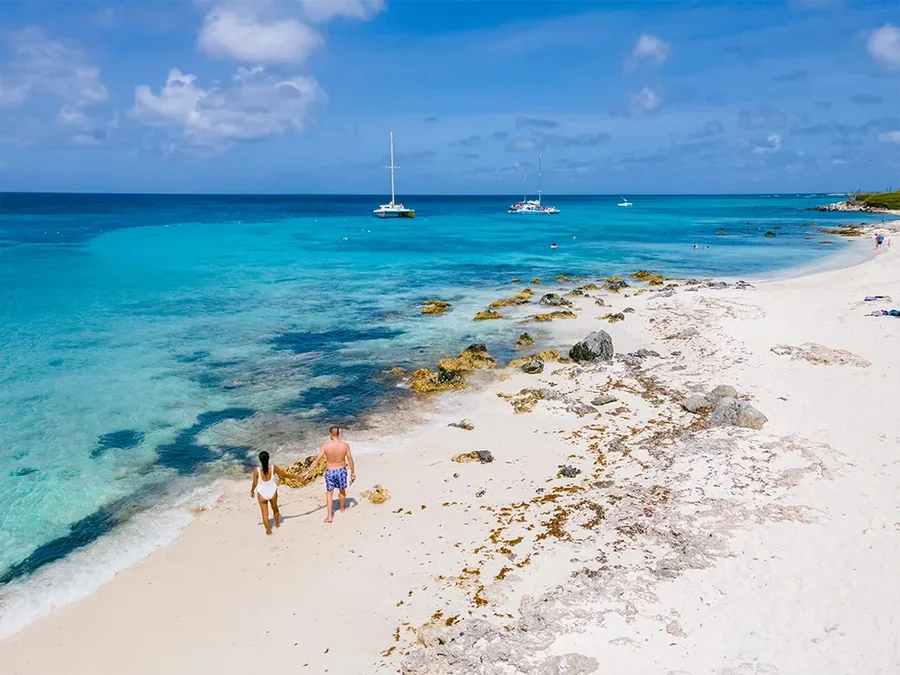 Eagle Beach Aruba con palmeras